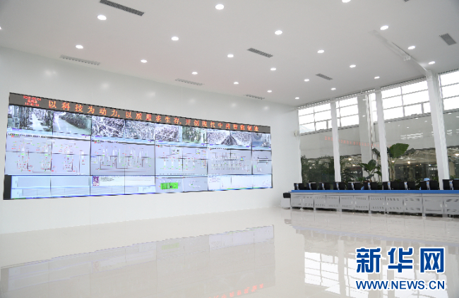 强信心·走进百企丨Z6·尊龙凯时「中国」官方网站药业：“数智化”助力中医药开启发展新篇章